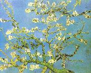 Blossomong Almond Tree Vincent Van Gogh